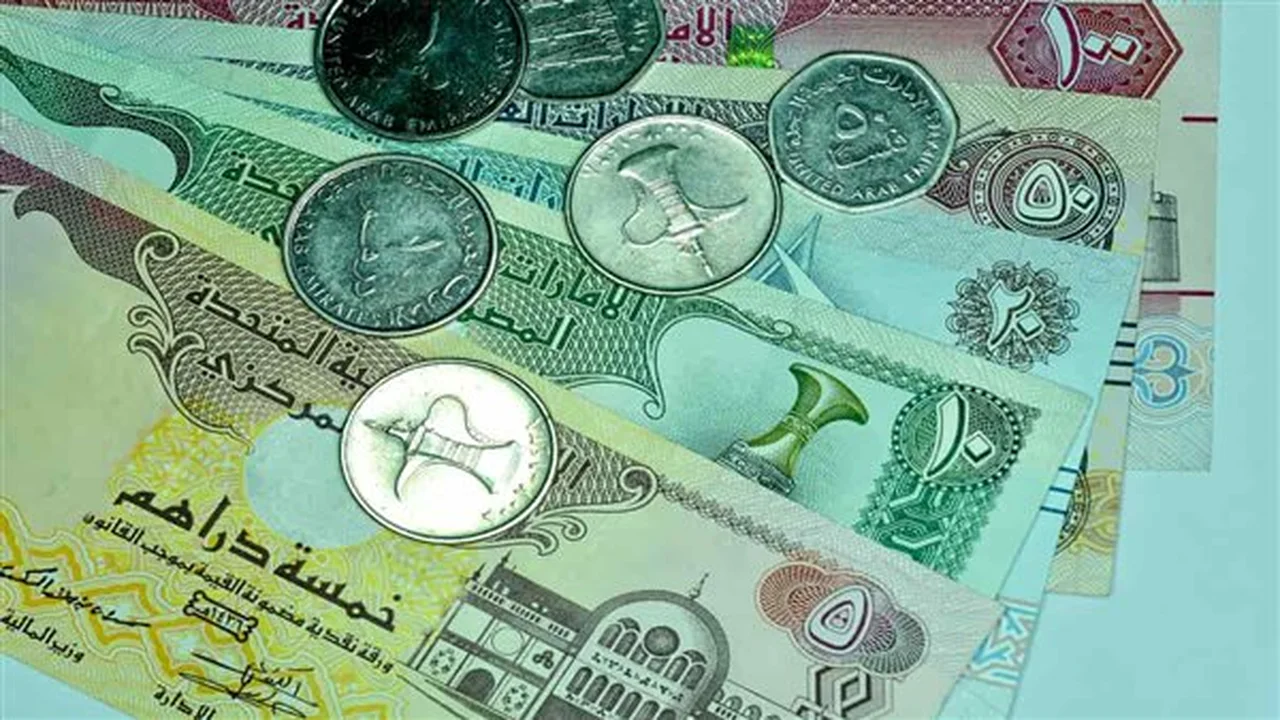 تحديث سعر صرف الدرهم الإماراتي مقابل الجنيه في البنك المركزي السبت الماضي